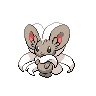 Cinccino icon