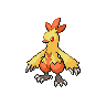 Combusken icon