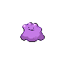 Ditto icon