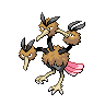 Dodrio icon