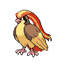 Pidgeot icon