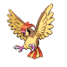 Pidgeotto icon