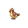 Pidgey icon