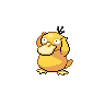 Psyduck icon