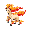 Rapidash icon