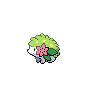 Shaymin icon