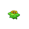 Skiploom icon