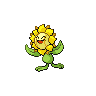 Sunflora icon
