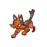 Torracat icon