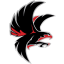 NIGHTHAWK