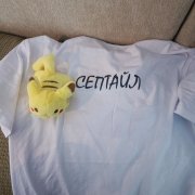 Септайл